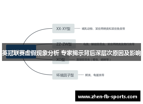 英冠联赛虚假现象分析 专家揭示背后深层次原因及影响