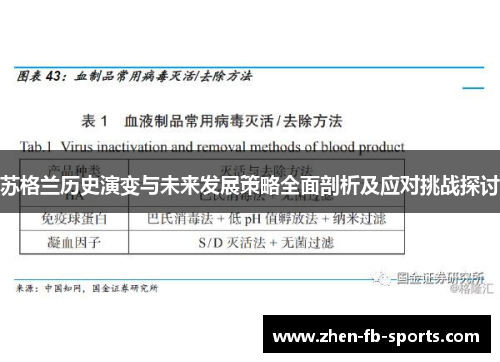苏格兰历史演变与未来发展策略全面剖析及应对挑战探讨